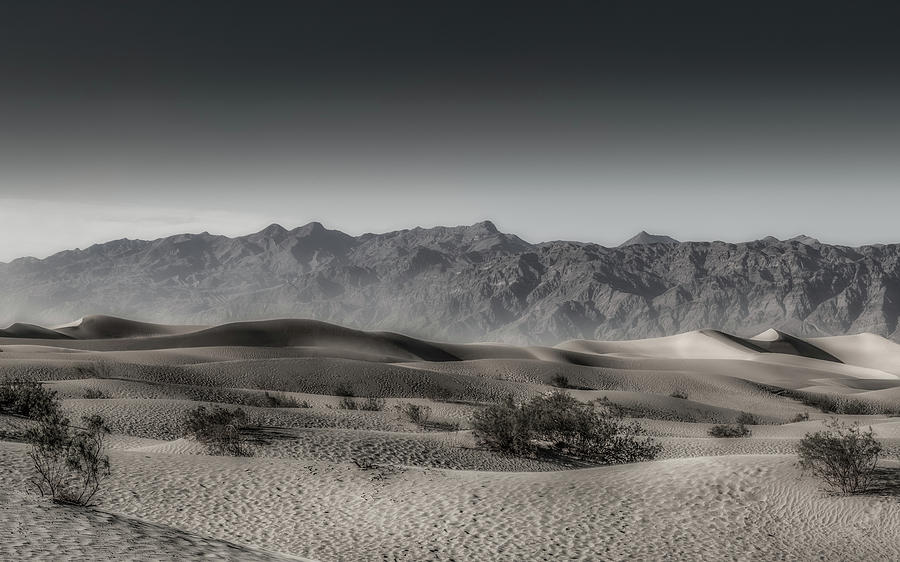 Desert Fantasy Panorama by Davin McLaird Desert Fantasy Panorama by Davin McLaird