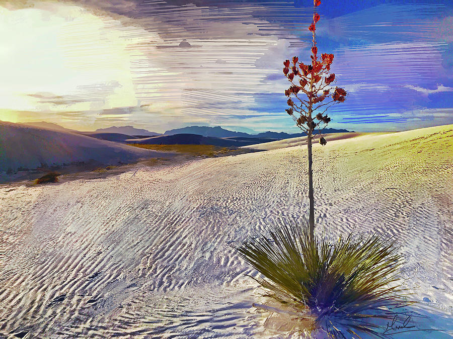Desert Flower Photograph by GW Mireles