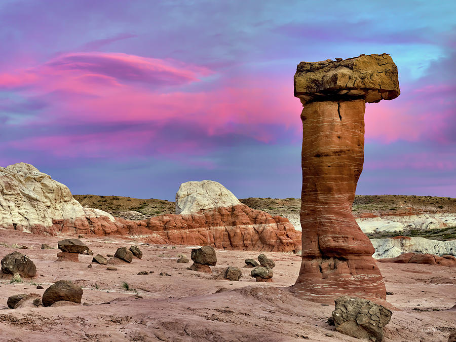 Desert Forms Photograph by Leland D Howard