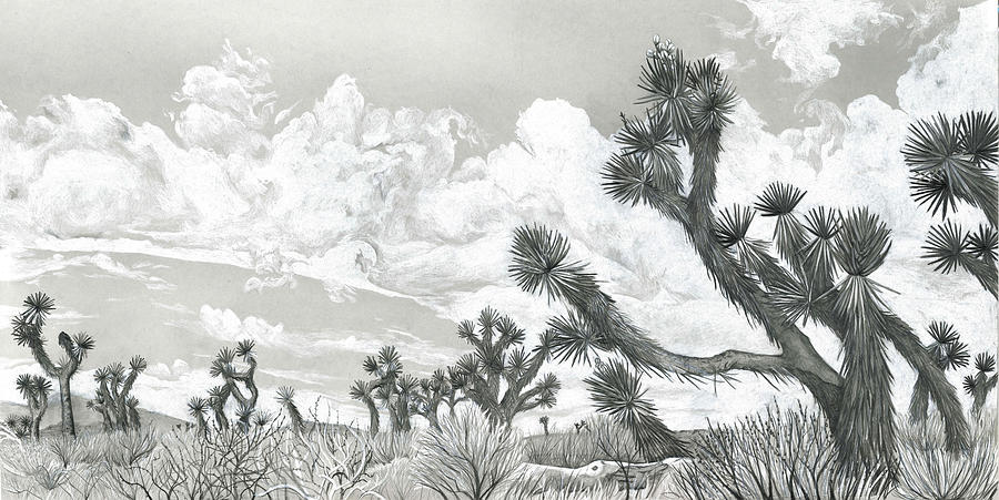 Desert Giants Drawing by Elizabeth Mordensky