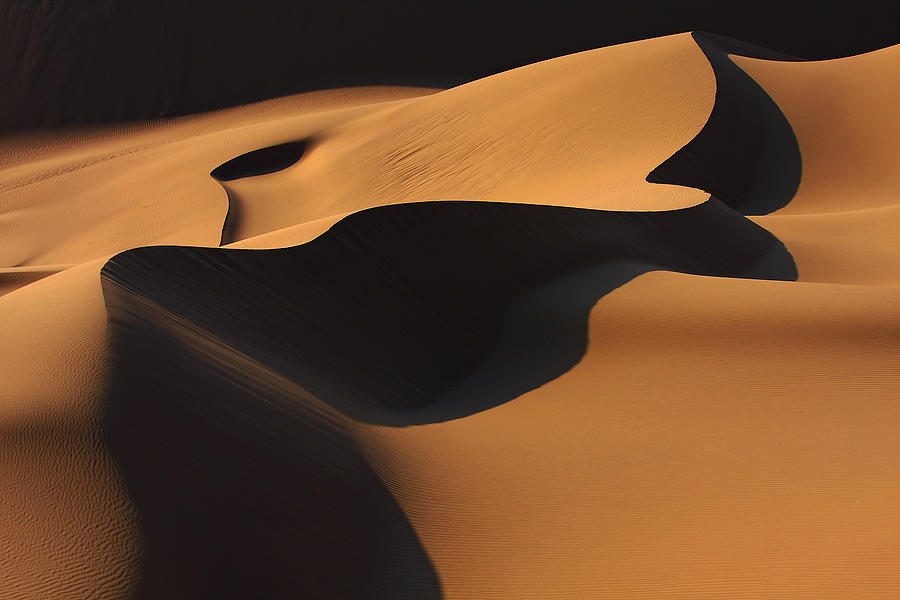 Desert Glory Photograph by Ebrahim Bakhtari Bonab