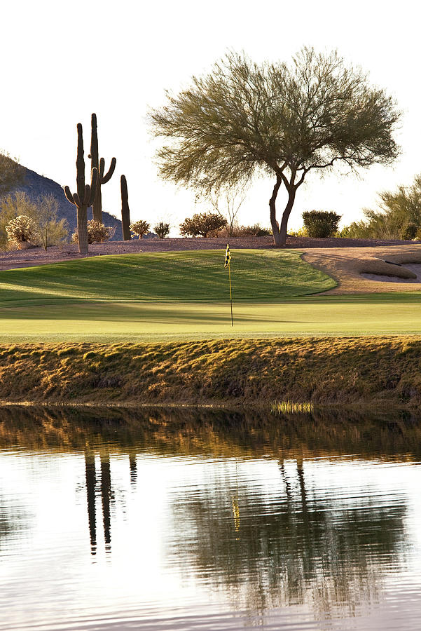 Desert Golf Hole In Phoenix Area Photograph by Imaginegolf