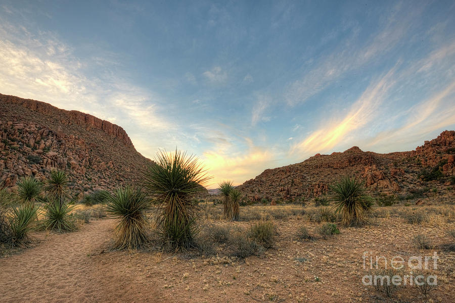 Hiking Photograph - Desert Hike by Joe Sparks Hiking Photograph - Desert Hike by Joe Sparks