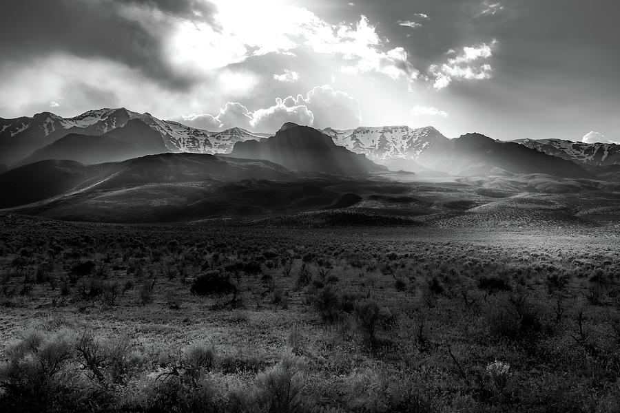 Summer Photograph - Desert In Monochrome by Aaron Harris