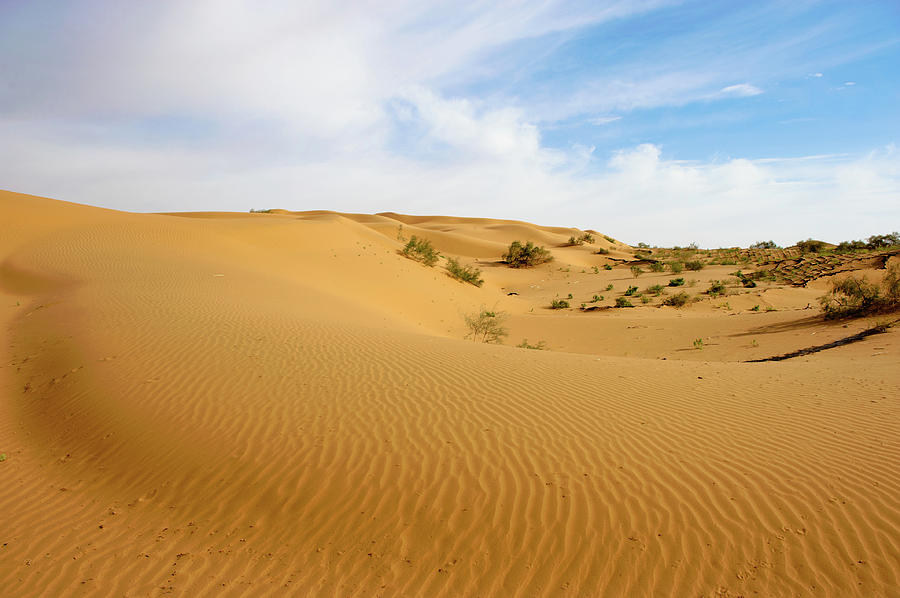 Desert In Western China Photograph by Wu, Hongqiang - Fine Art America