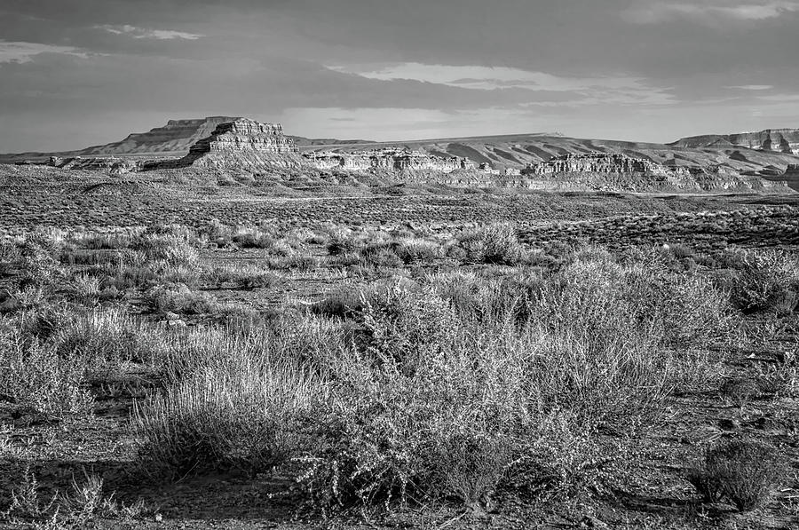 Desert Landscape - After the Storm - Black and White Photograph by Nikolyn McDonald