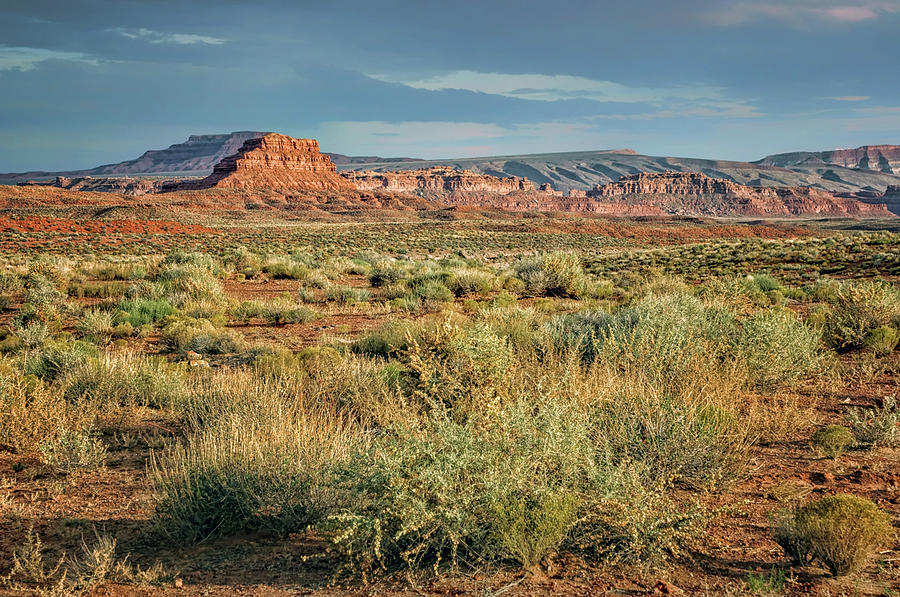 Desert Landscape - After the Storm Photograph by Nikolyn McDonald