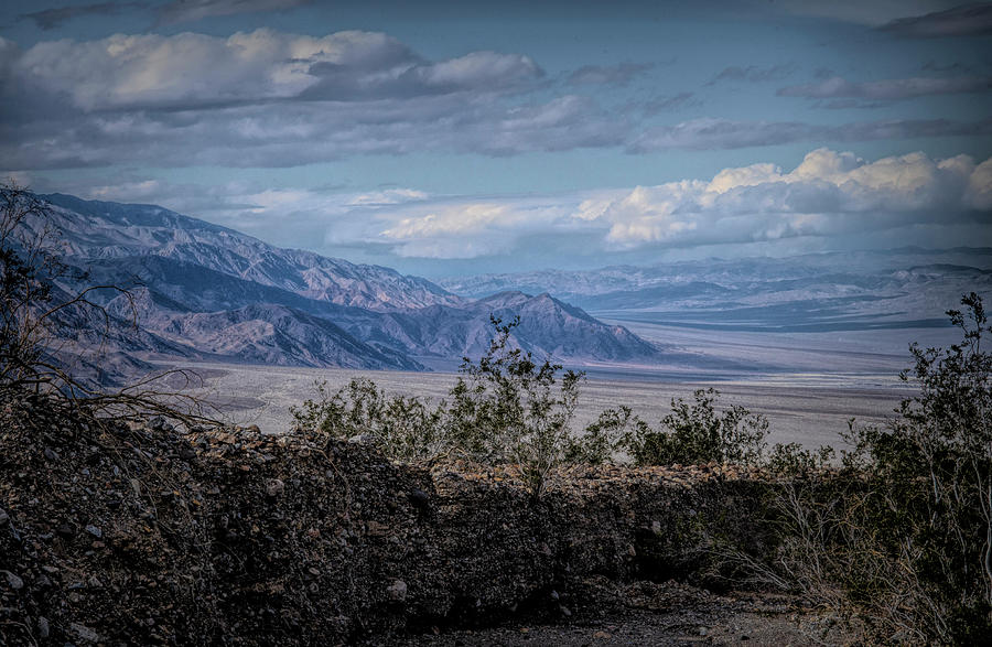 Desert Landscape Photograph by Jim Cook