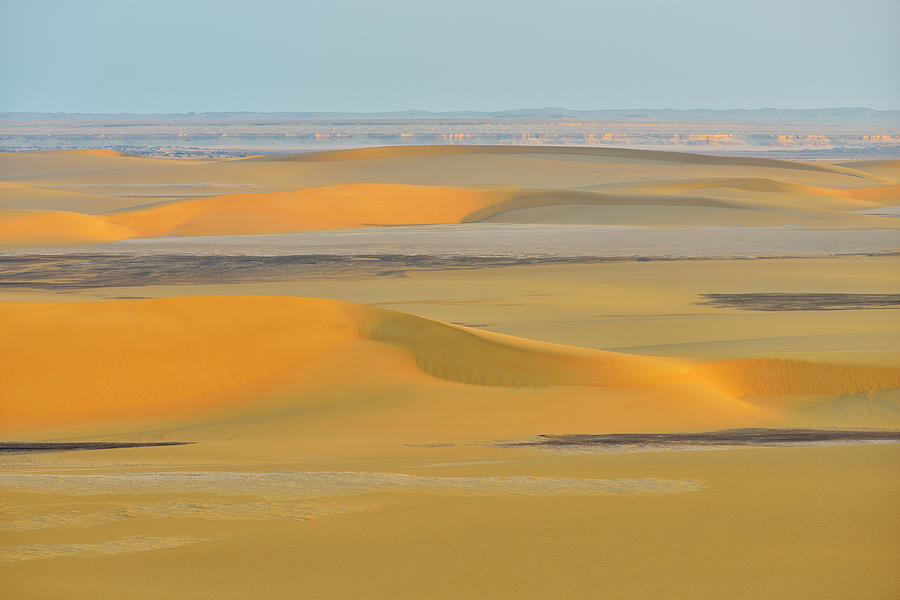 Nature Photograph - Desert Landscape by Raimund Linke