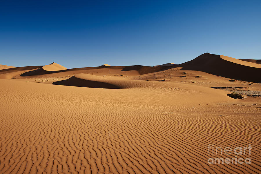 Desert Landscape With Orange Sand Dunes Photograph by Juritt - Pixels