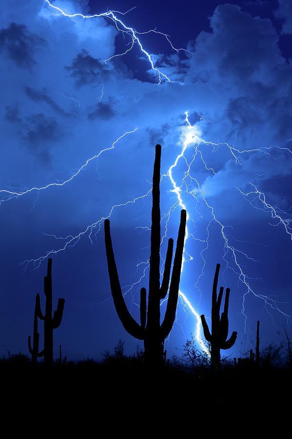 1814 Desert Lightning Photograph by Kenneth Johnson