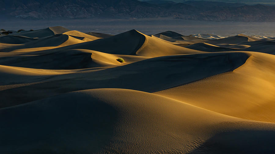 Desert Lights And Lines Photograph by Lipinghu