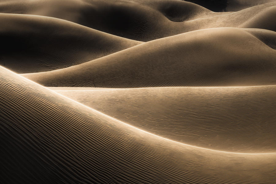 Desert Line Photograph by Minghao Hou