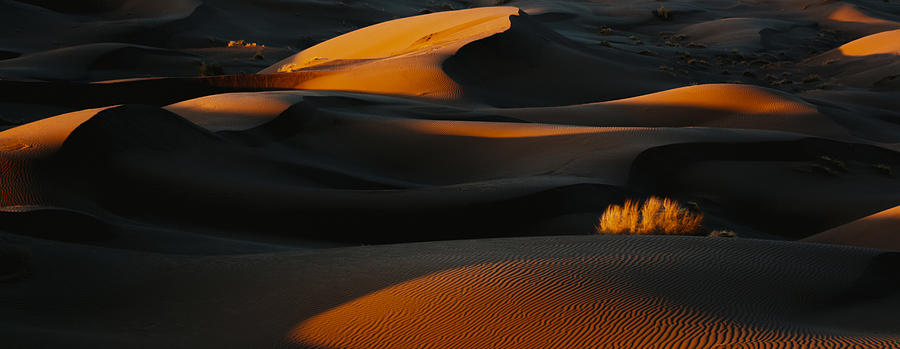 Desert Lines #1 Photograph by Asef Azimaie