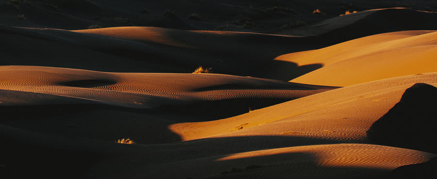 Desert Lines #4 Photograph by Asef Azimaie