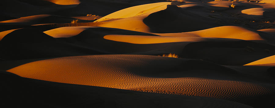 Desert Lines #7 Photograph by Asef Azimaie