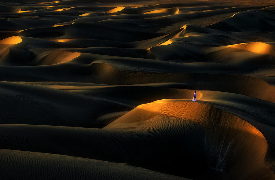 Abstract Photograph - Desert Lover by Mohammad Shefaa