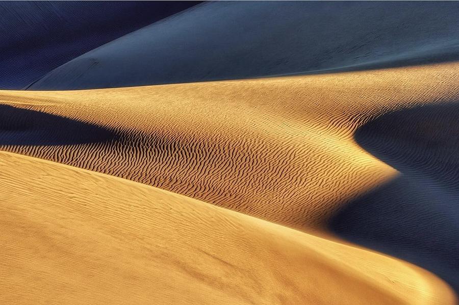 Desert Photograph by Mahshad Razavi