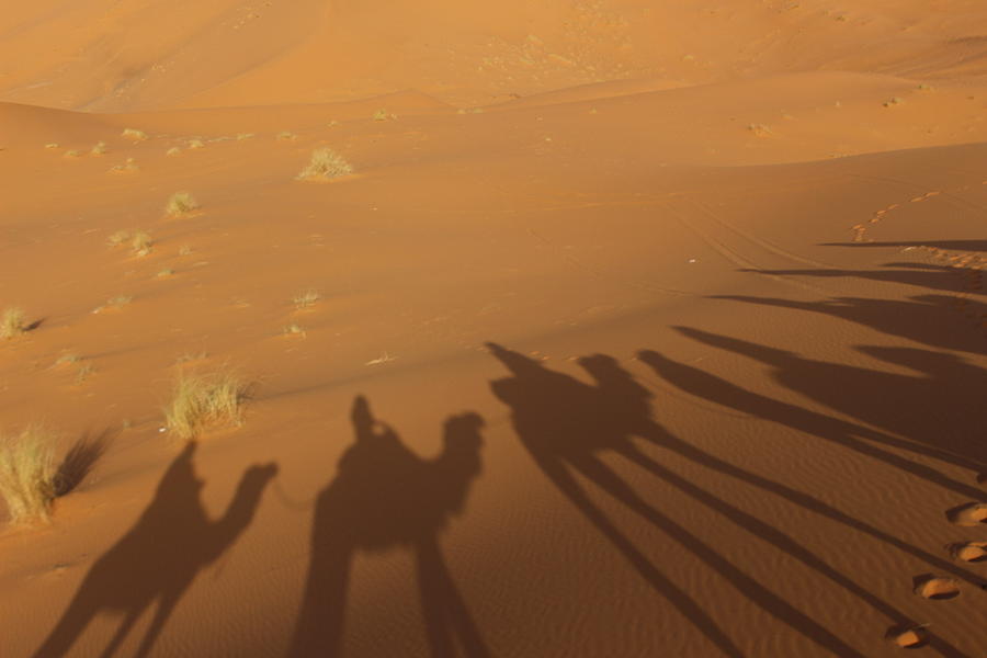 Desert Photograph - Desert Merzouga Morroco3 by Nakayosisan Wld
