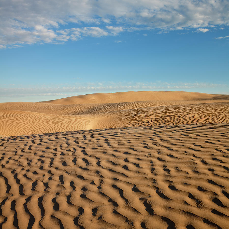 Desert Photograph by Mike Kemp