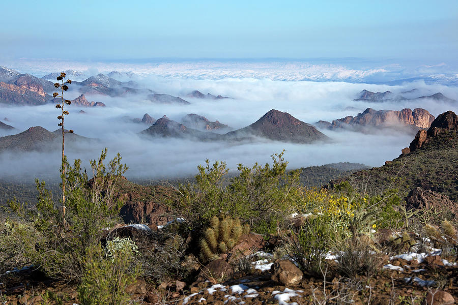 Desert Mist Photograph by Sue Cullumber