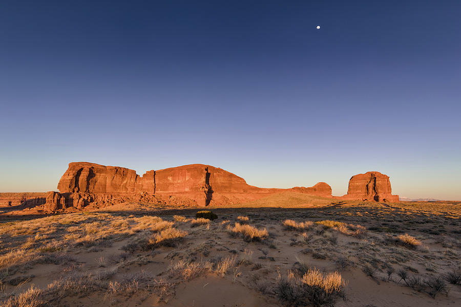 Desert moon Photograph by Murray Rudd