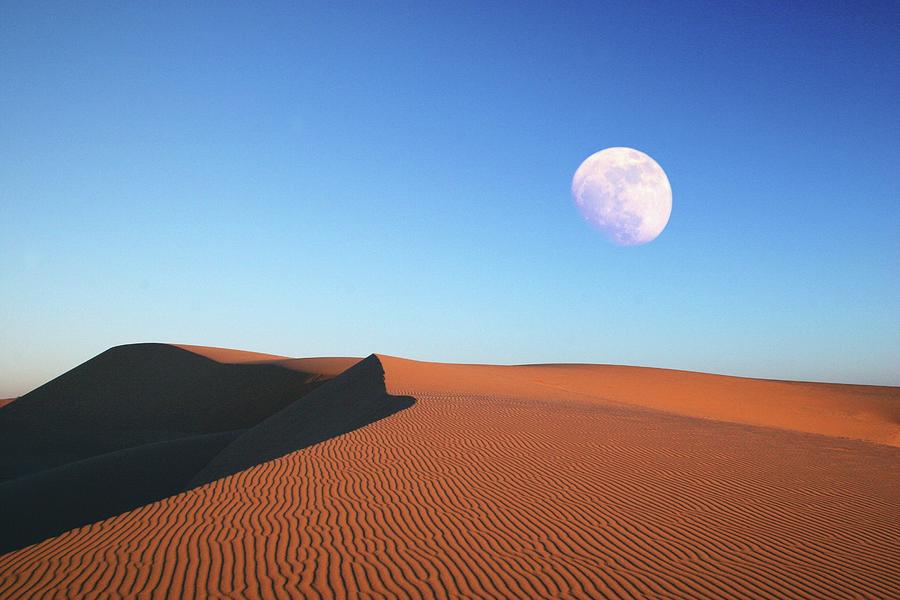 Desert Moon Photograph by Quan Tran Photography
