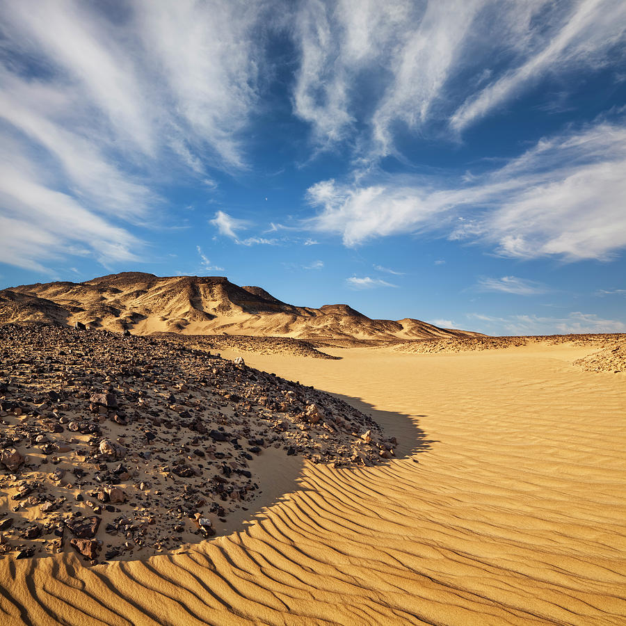 Desert Morning Dream Photograph by Cinoby