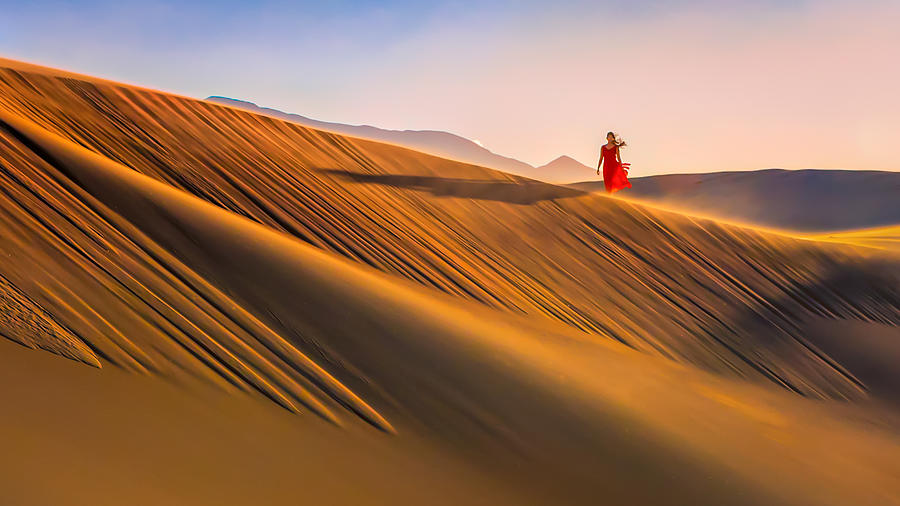 Desert Morning Photograph by John J. Chen