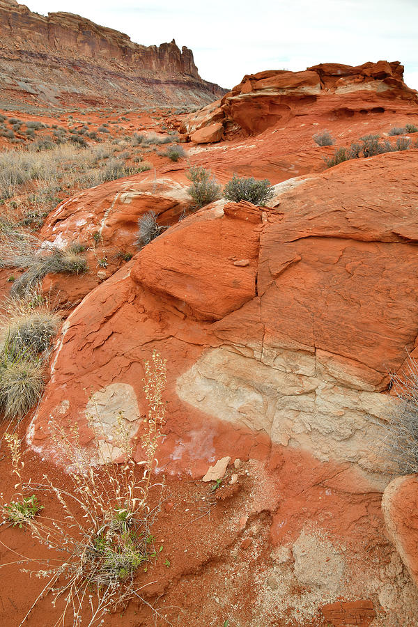 Desert Mosaic near Moab Utah Photograph by Ray Mathis