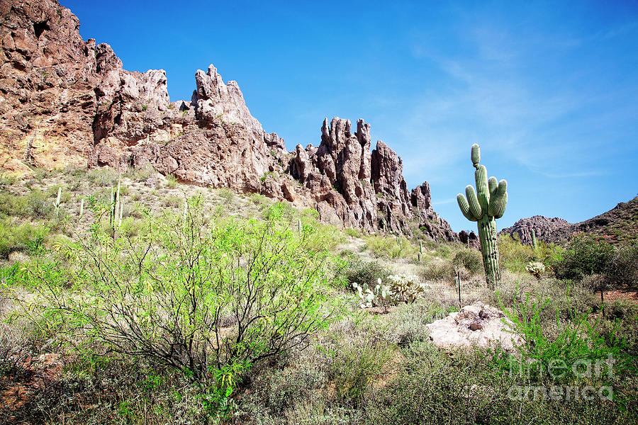 Desert Mountains by Scott Kemper Desert Mountains by Scott Kemper
