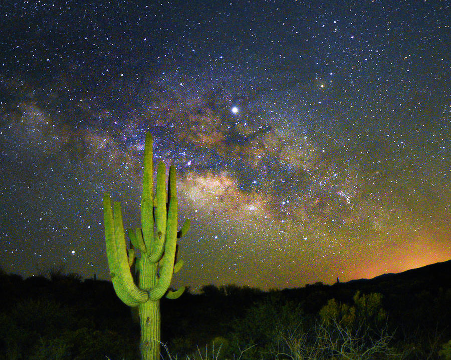 Desert Night Sky Photograph by Wendy Islas