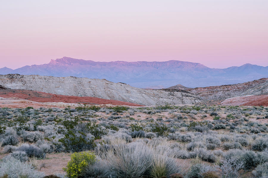 Desert on Fire No.1 by Margaret Pitcher Desert on Fire No.1 by Margaret Pitcher