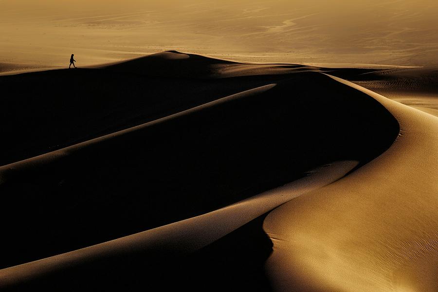 Desert One Photograph by Mohammad Fotouhi
