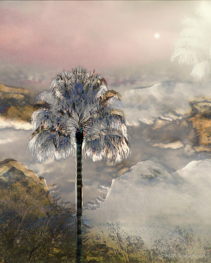Desert Palm Over Valley Digital Art by Sandra Nesbit