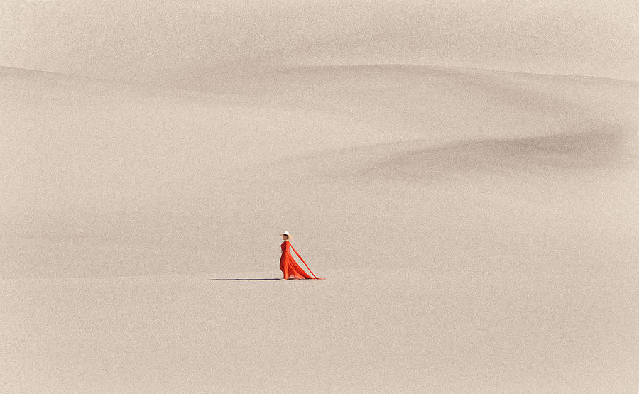 Landscape Photograph - Desert Princess by Dianne Mao