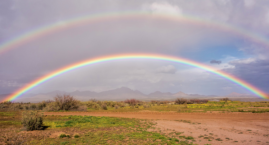 Desert Rainbow Photograph by Loree Johnson
