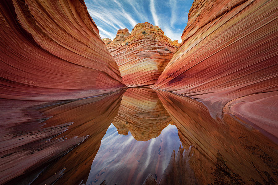 Desert Reflection Photograph by Darlene Smith
