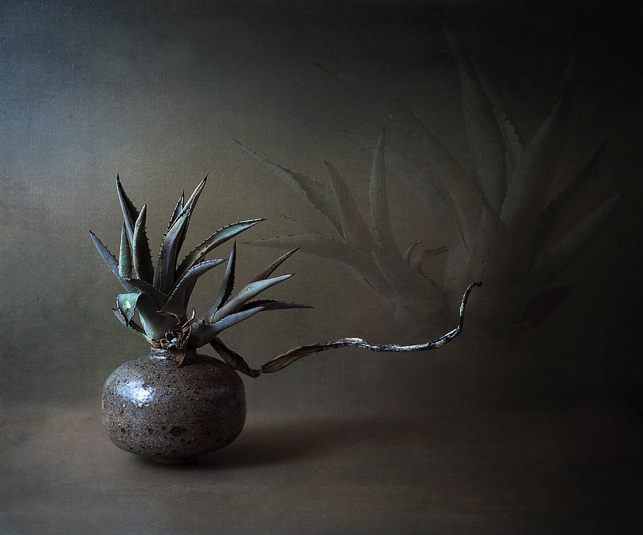 Still Life Photograph - Desert Reflections by Margaret Halaby