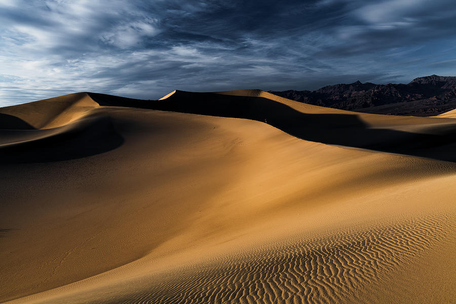 Desert Photograph by Renzi