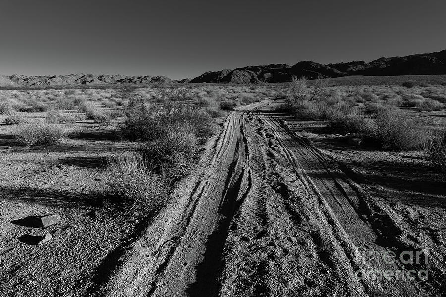 Desert Road  Photograph by Jeff Hubbard