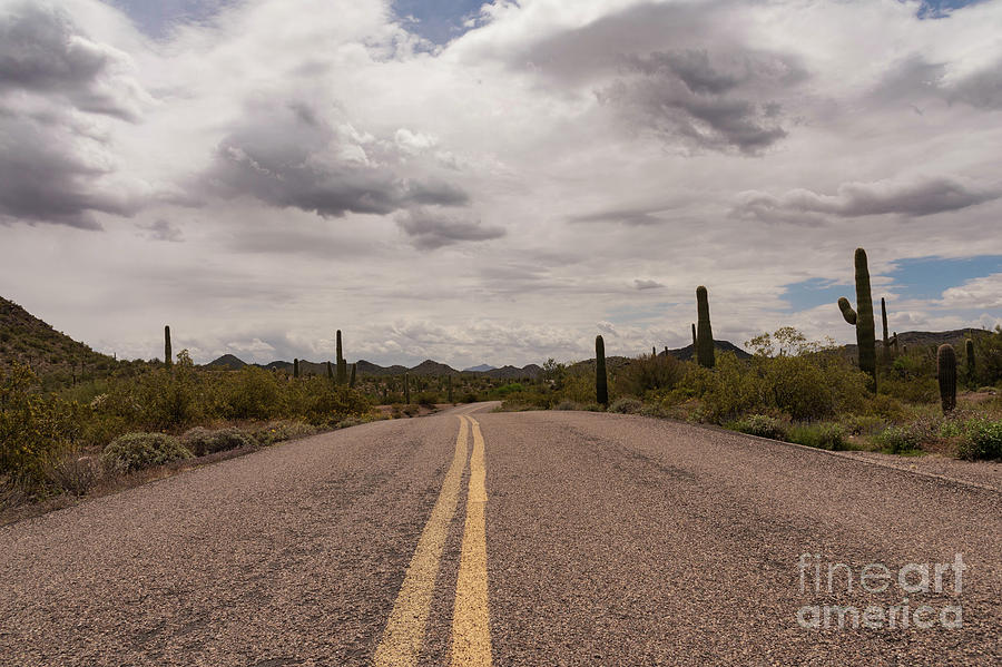 Desert Road. No Cars.  Photograph by Jeff Hubbard