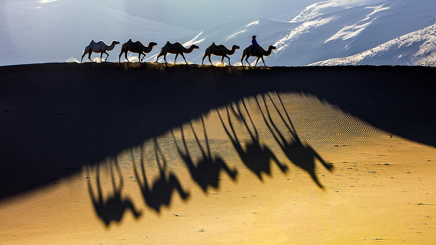 Desert Photograph by Ryu Shin Woo