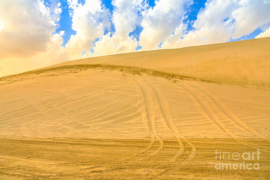 Desert safari adventure Photograph by Benny Marty