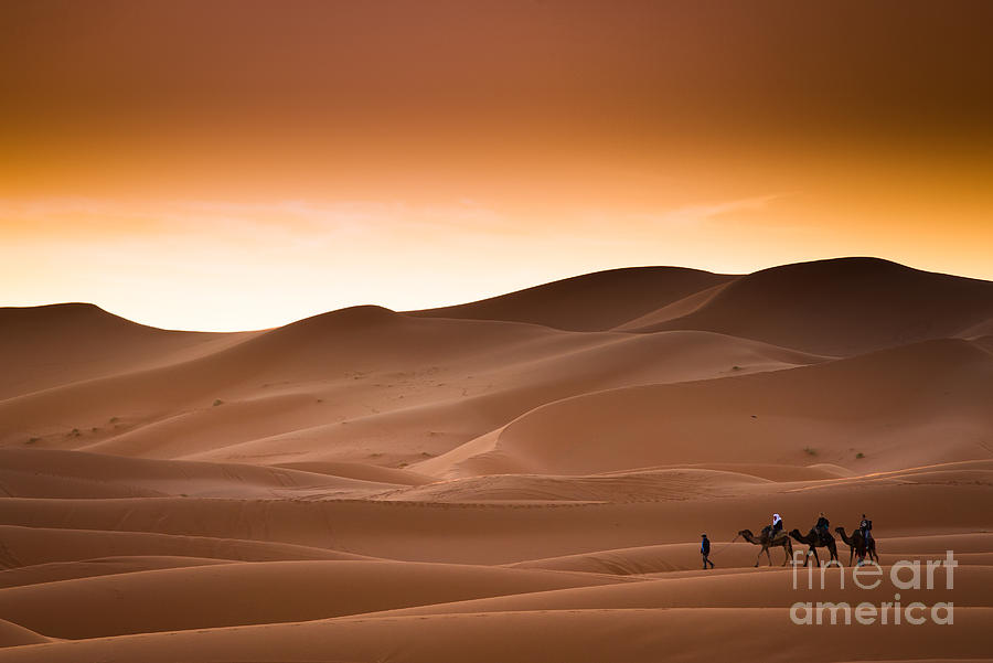 Sky Photograph - Desert Sahara Landscape by Andrzej Kubik