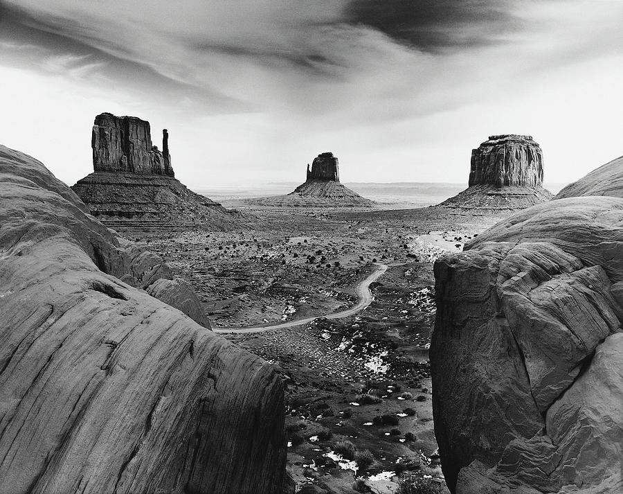 Desert Scene Photograph by Monte Nagler