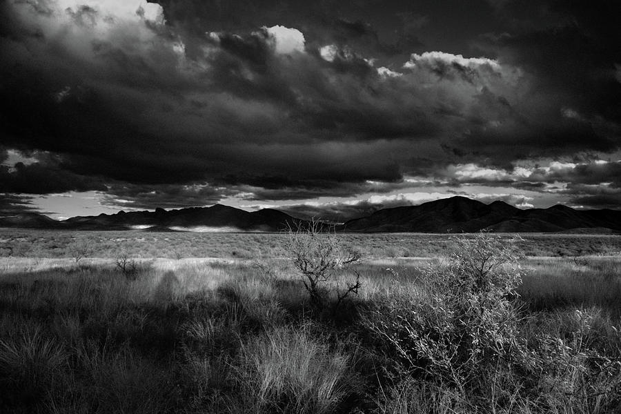 Arizona Desert Black and White Photograph by Chance Kafka