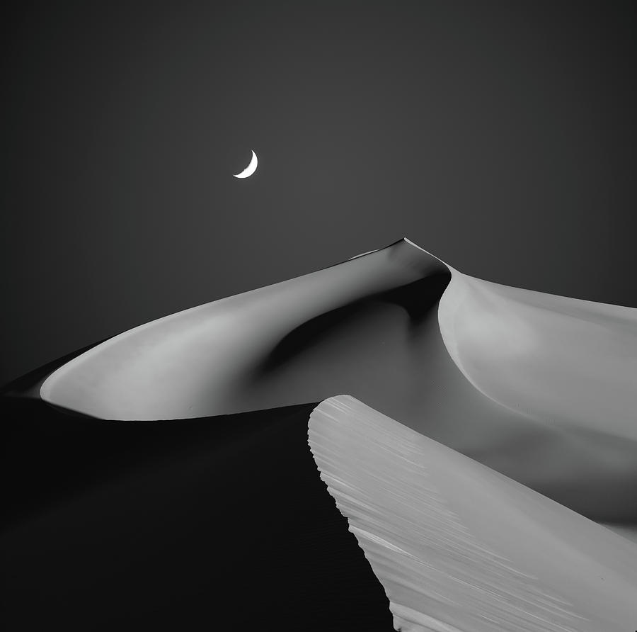 Black And White Photograph - Desert by Shanyewuyu