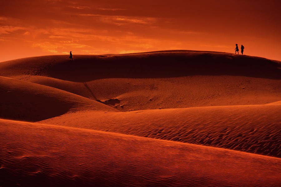 Desert Photograph by Simonlong