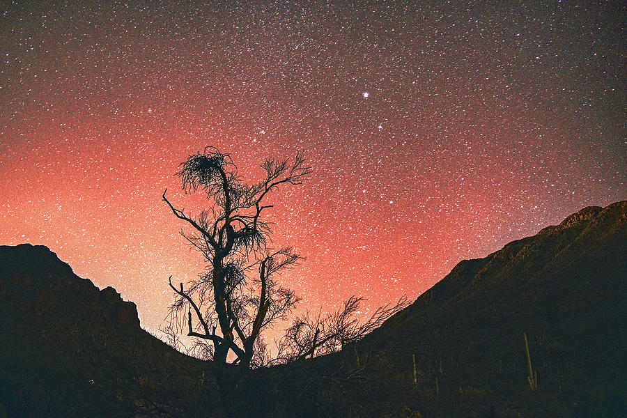 Desert skies by night Photograph by Chance Kafka